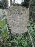 image of grave number 557527